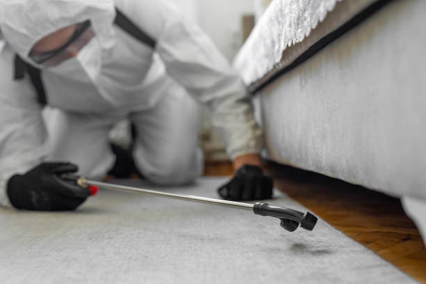Professional Rodent Control technician working in Markham, IL