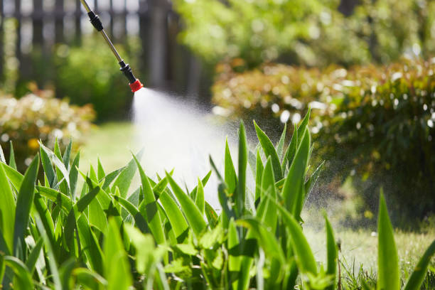 24/7 Emergency Rodent Control experts in Markham, IL