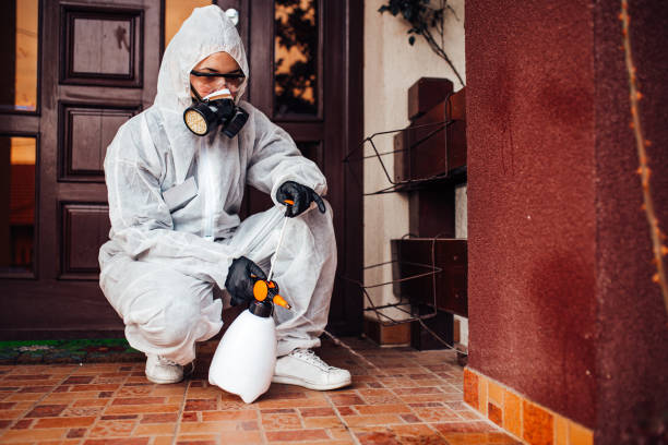 Reliable Rodent Control contractor in Markham, IL by Nex Pest Control