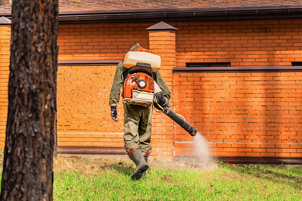 Top rated local Rodent Control specialists in Markham, IL
